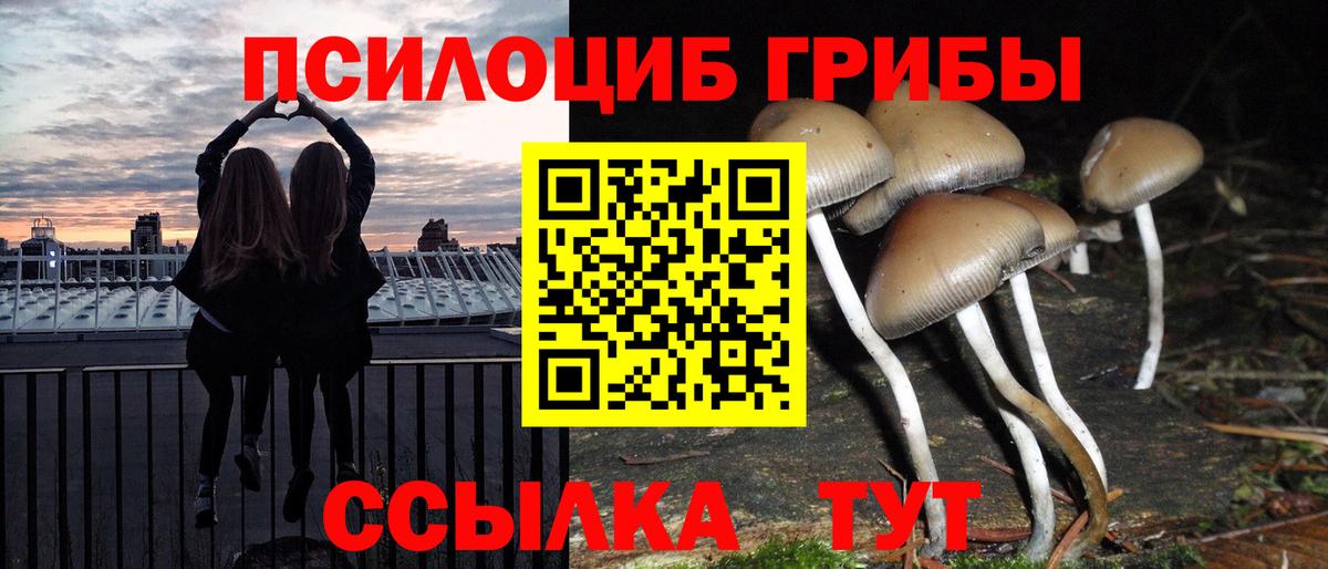 Джанкой  Псилоцибиновые грибы Magic Shrooms  наркотики  Вход с VPN 